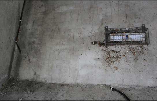 Новини Вінниці / У Вінниці не припиняються напади вандалів на Київський міст (ФОТО)