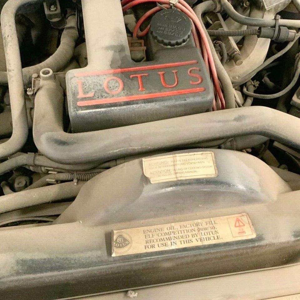 Новини Вінниці / Унікальний Opel знайшли в ангарі у Вінниці: таких машин було випущено менше тисячі (ФОТО)