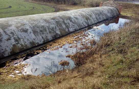 Новини Вінниці / У мережі виклали світлини того, як відходи з Тростянецького спиртзаводу на Вінниччині знищили «все живе» навколо пам’ятника загиблим євреям (ФОТО)