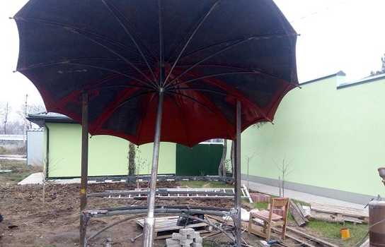 Новини Вінниці / У Подільському зоопарку облаштовують нову зону для селфі (ФОТО)