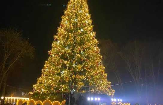 Новини Вінниці / Вінницьку ялинку в Центральному парку визнали рекордсменкою