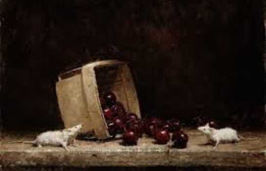 Новини Вінниці / Митець з Вінниці зробив «тематичну» підбірку картин зі щурами