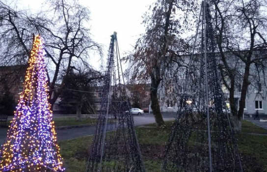 Новини Вінниці / На Вінниччині намагались «роздягнути» головну ялинку  (ФОТО)
