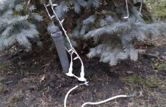 Новини Вінниці / На Вінниччині намагались «роздягнути» головну ялинку  (ФОТО)