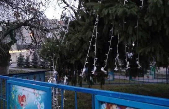 Новини Вінниці / На Вінниччині намагались «роздягнути» головну ялинку  (ФОТО)