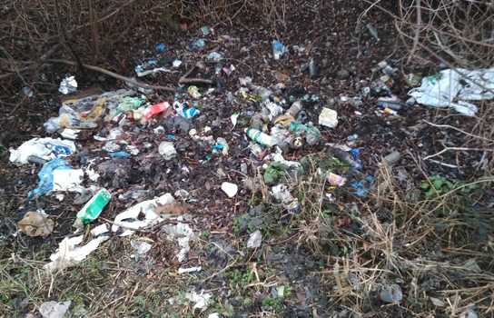 Новини Вінниці / У Вінниці Муніципальна варта загітувала підприємців вийти на «суботник» (ФОТО)