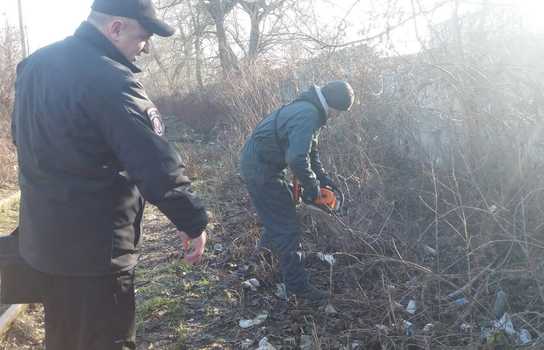 Новини Вінниці / У Вінниці Муніципальна варта загітувала підприємців вийти на «суботник» (ФОТО)