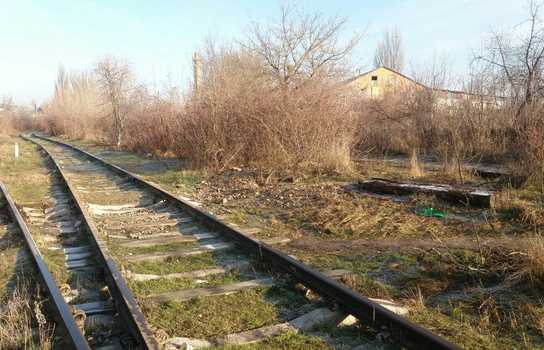 Новини Вінниці / У Вінниці Муніципальна варта загітувала підприємців вийти на «суботник» (ФОТО)