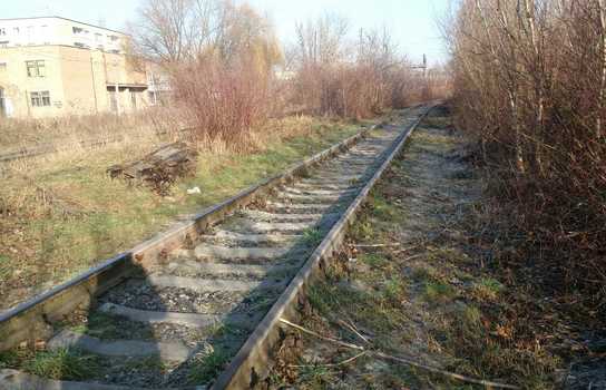 Новини Вінниці / У Вінниці Муніципальна варта загітувала підприємців вийти на «суботник» (ФОТО)