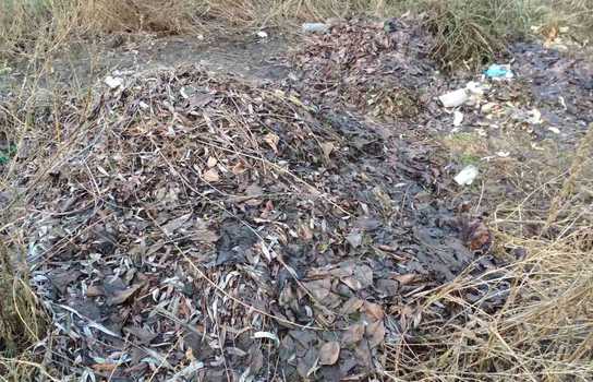 Новини Вінниці / У Вінниці Муніципальна варта загітувала підприємців вийти на «суботник» (ФОТО)