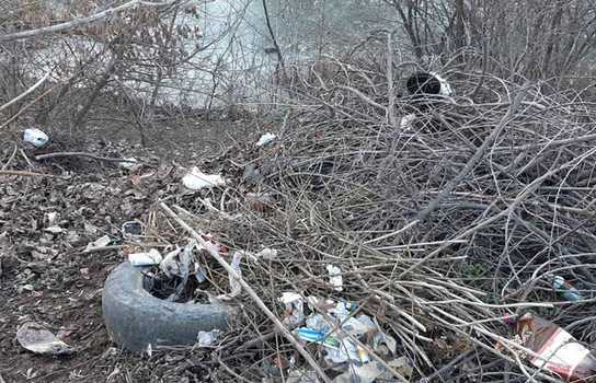 Новини Вінниці / У Вінниці Муніципальна варта загітувала підприємців вийти на «суботник» (ФОТО)