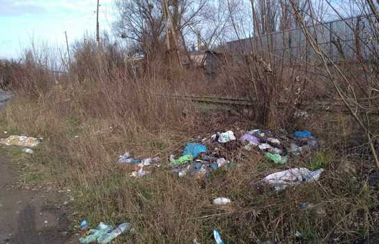 Новини Вінниці / У Вінниці Муніципальна варта загітувала підприємців вийти на «суботник» (ФОТО)