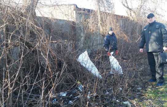 Новини Вінниці / У Вінниці Муніципальна варта загітувала підприємців вийти на «суботник» (ФОТО)