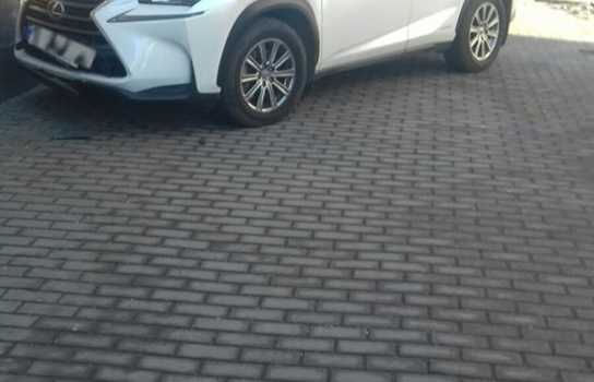 Новини Вінниці / Вінничанка за кермом «Лексуса» в’їхала в театр (ФОТО)