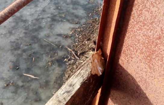 Новини Вінниці / «Такого нахабства ще не бачили»: у Барському районі на Вінниччині невідомі спустили орендований ставок і виловили всю рибу (ФОТО)