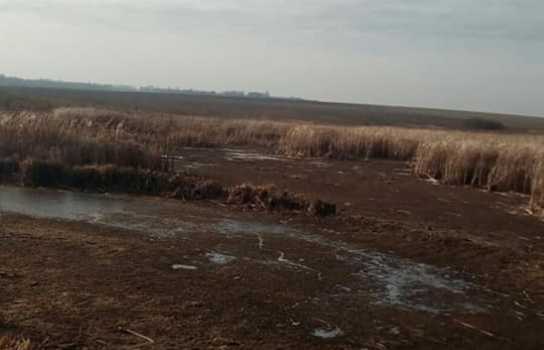 Новини Вінниці / «Такого нахабства ще не бачили»: у Барському районі на Вінниччині невідомі спустили орендований ставок і виловили всю рибу (ФОТО)