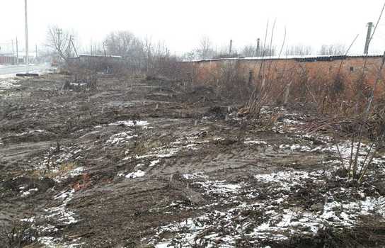 Новини Вінниці / У Вінниці голові гаражного кооперативу дали припис за занедбану територію. Чи допомогло? (ФОТО)