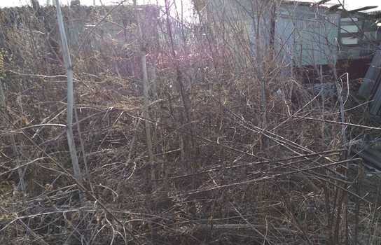 Новини Вінниці / У Вінниці голові гаражного кооперативу дали припис за занедбану територію. Чи допомогло? (ФОТО)