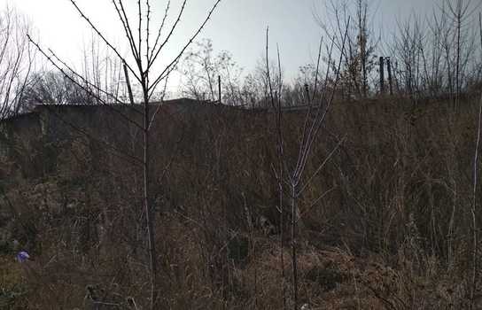 Новини Вінниці / У Вінниці голові гаражного кооперативу дали припис за занедбану територію. Чи допомогло? (ФОТО)