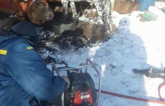 Новини Вінниці / Голова пса застрягла у шнеку комбайна: жахливі «пригоди» тварини на Вінниччині (ФОТО)