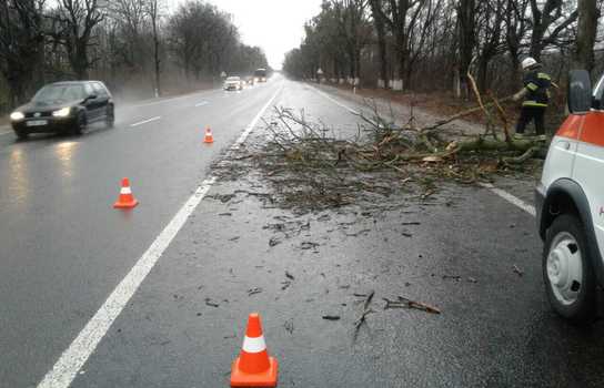 Новини Вінниці / На Вінниччині вітер зриває з дахів покрівлі (ФОТО)