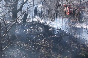 Новини Вінниці / Вінниччина у диму: головний рятувальник області б'є на сполох через кількість пожеж (ФОТО, ВІДЕО)