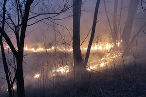 Новини Вінниці / Вінниччина у диму: головний рятувальник області б'є на сполох через кількість пожеж (ФОТО, ВІДЕО)