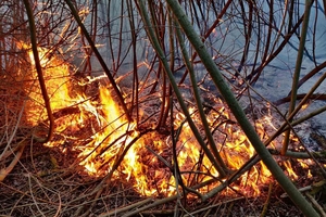 Новини Вінниці / Вінниччина у диму: головний рятувальник області б'є на сполох через кількість пожеж (ФОТО, ВІДЕО)