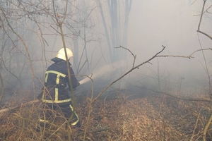 Новини Вінниці / Вінниччина у диму: головний рятувальник області б'є на сполох через кількість пожеж (ФОТО, ВІДЕО)