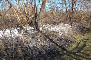 Новини Вінниці / Дві хати та сарай горіли у селі на Вінниччині: хтось підпалив суху траву (ФОТО)