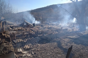 Новини Вінниці / Дві хати та сарай горіли у селі на Вінниччині: хтось підпалив суху траву (ФОТО)