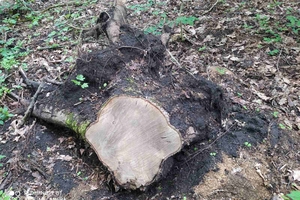 Новини Вінниці / Екоінспектори виявили в одному із заповідників Вінниччини порушень на понад півмільйона гривень (ФОТО)