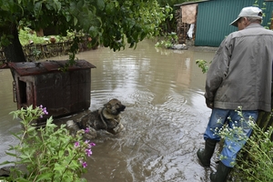 Новини Вінниці / «Каміння з «верхніх» провулків летіло з такою швидкістю, що розбило асфальт»: на Вінниччині вода змила картоплю та частину дороги