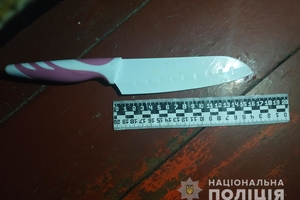 Новини Вінниці / У селі на Вінниччині п'яний чоловік хотів зарізати дружину на очах у дитини (ФОТО)