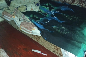 Новини Вінниці / У селі на Вінниччині п'яний чоловік хотів зарізати дружину на очах у дитини (ФОТО)