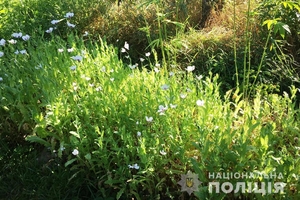 Новини Вінниці / На дачі під Вінницею поліцейські "застукали" господарку макової плантації за виготовленням наркотиків (ФОТО, ВІДЕО)