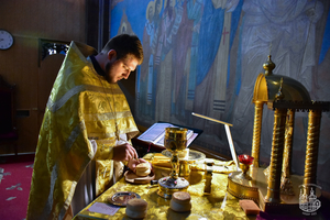 Новини Вінниці / Митрополит Вінницький і Барський Симеон вперше після того, як подолав коронавірус, відслужив молебень у соборі (ФОТО)