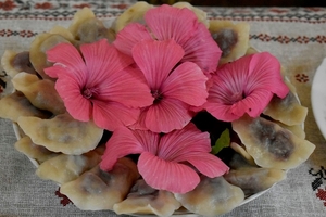 Новини Вінниці / Господині з Вінниччини презентували на кулінарному фестивалі вареники з шоколадом