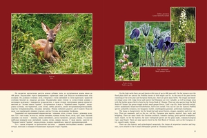 Новини Вінниці / У Вінницькому обласному краєзнавчому музеї презентували альбом «Визначні пам’ятки Вінниччини»