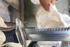 Новини Вінниці / На Вінниччині силовики відшукали арсенал зброї 