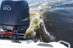 Новини Вінниці / У Південному Бузі біля села Степашки на Вінниччині екологи зафіксували викид невідомої речовини (ФОТО)