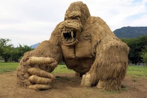 Новини Вінниці / В ОТГ на Вінниччині оголосили мистецький конкурс: шукають ідеї для туристичних "родзинок"