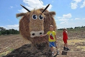 Новини Вінниці / В ОТГ на Вінниччині оголосили мистецький конкурс: шукають ідеї для туристичних "родзинок"