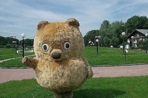 Новини Вінниці / В ОТГ на Вінниччині оголосили мистецький конкурс: шукають ідеї для туристичних "родзинок"