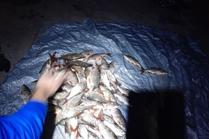 Новини Вінниці / На Вінниччині за добу впіймали двох "рибних" браконьєрів, які завдали державі збитків на майже 11 тис гривень