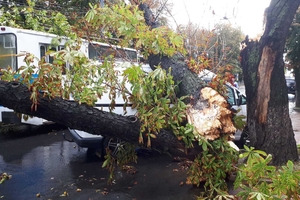 Новини Вінниці / Вінницю злива і град перетворили на Венецію (ВІДЕО)