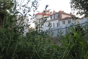 Новини Вінниці / У Вінниці на місці колишнього будинку лікаря Штерна знайдено підземний хід (ФОТО, ВІДЕО)