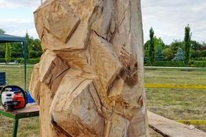 Новини Вінниці / На Вінниччині триває фестиваль дерев’яної скульптури «Ладижинський гай - 2020» (ФОТО)