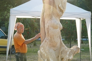 Новини Вінниці / На Вінниччині триває фестиваль дерев’яної скульптури «Ладижинський гай - 2020» (ФОТО)