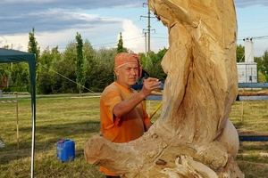 Новини Вінниці / На Вінниччині триває фестиваль дерев’яної скульптури «Ладижинський гай - 2020» (ФОТО)